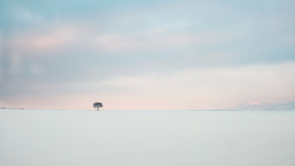 Laetitia MONTASTIER - Lost in the snow